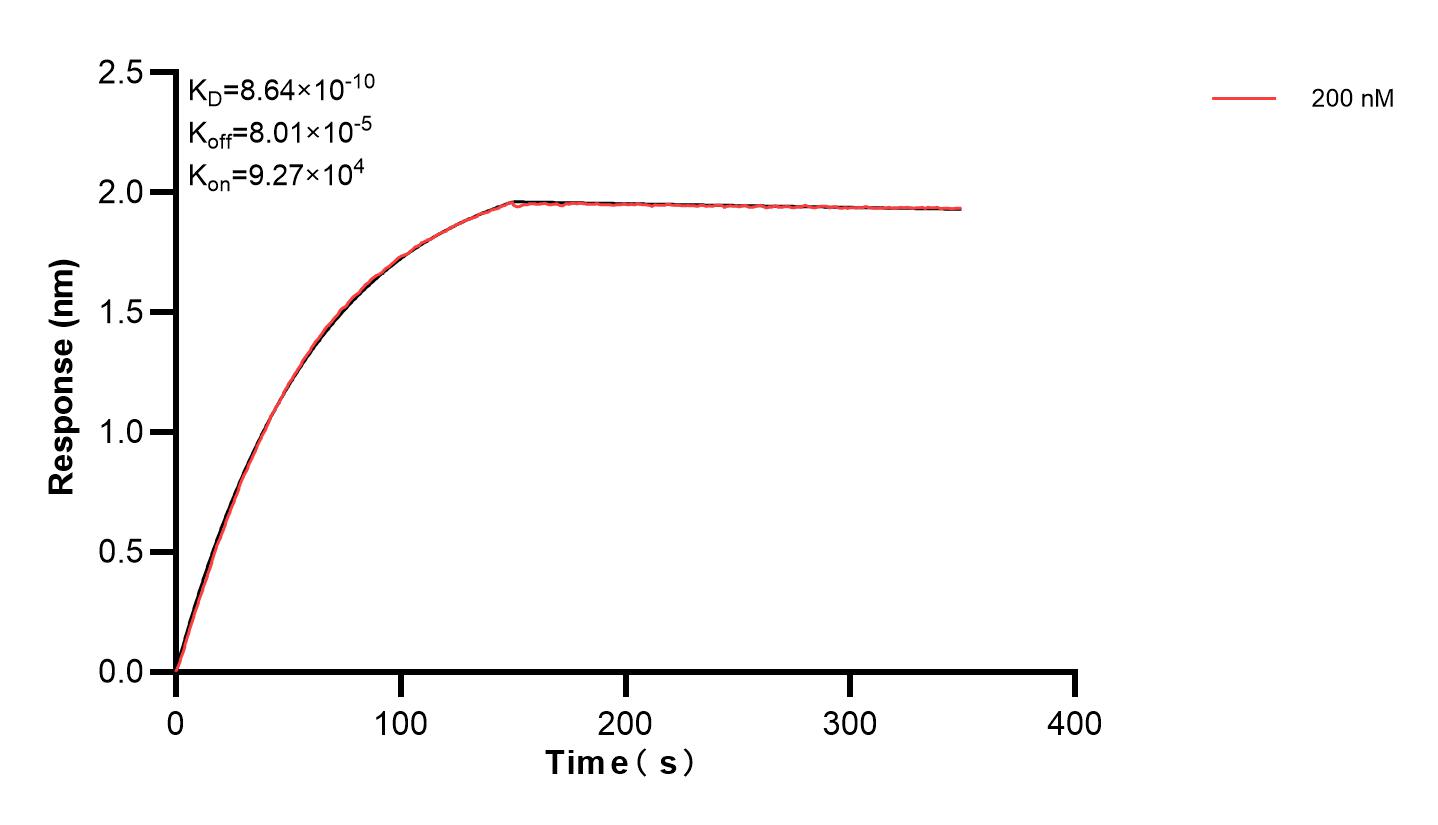 Affinity and Kinetic Characterization of 83309-2-PBS