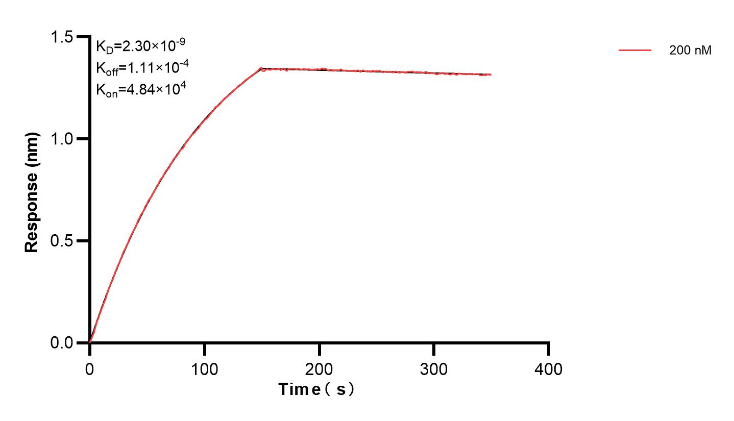 Affinity and Kinetic Characterization of 83309-4-PBS