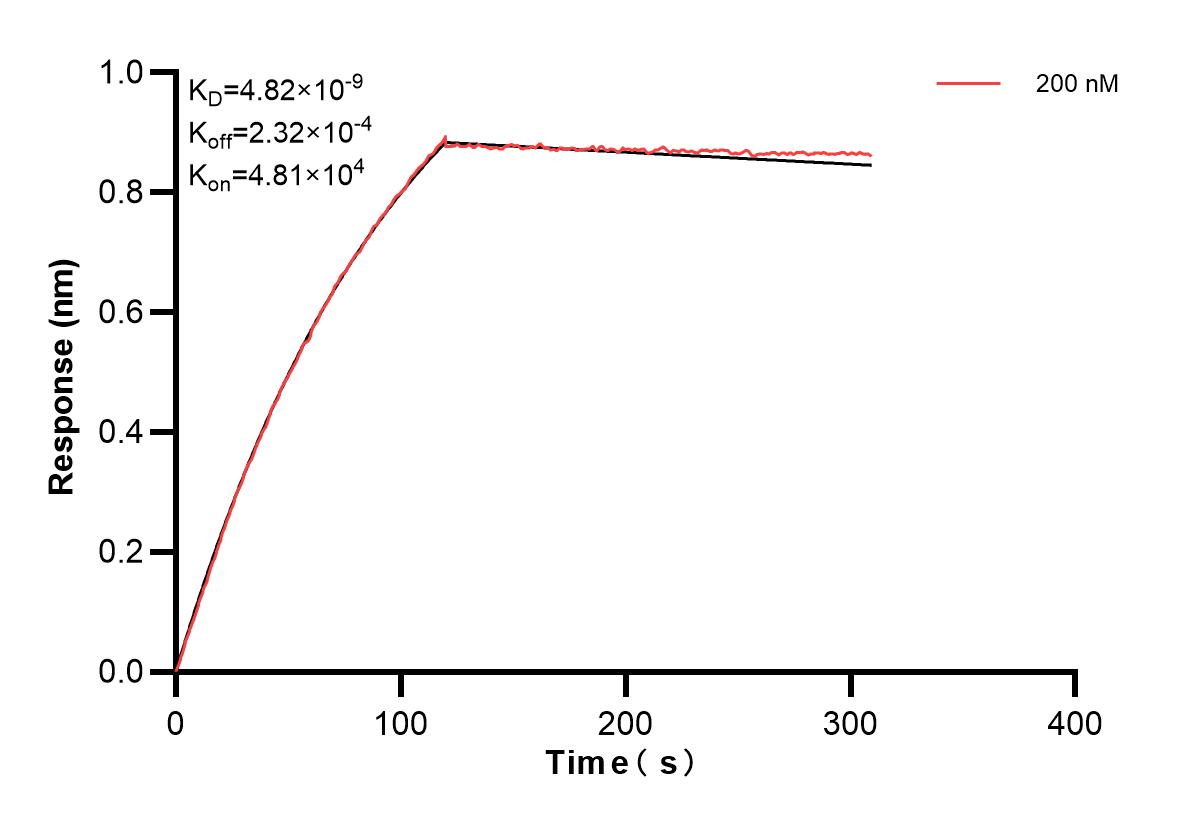 Affinity and Kinetic Characterization of 83321-1-PBS