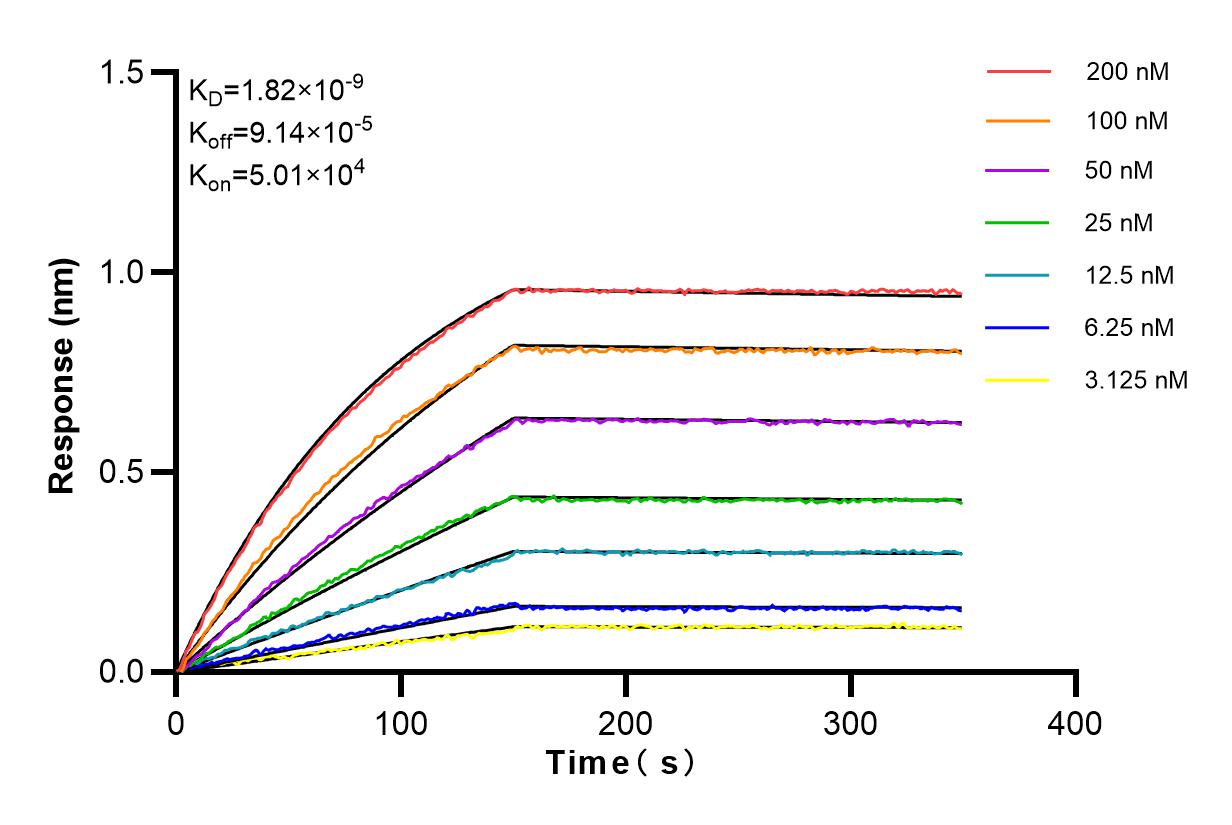 Affinity and Kinetic Characterization of 83321-1-RR