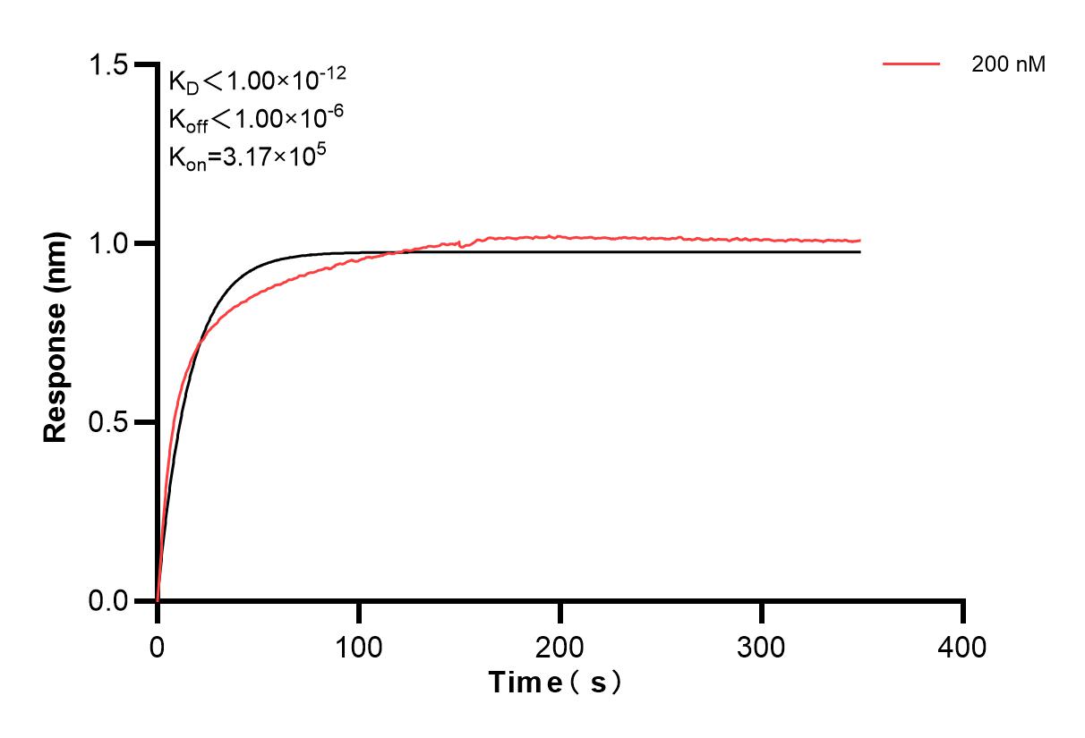 Affinity and Kinetic Characterization of 83323-2-PBS