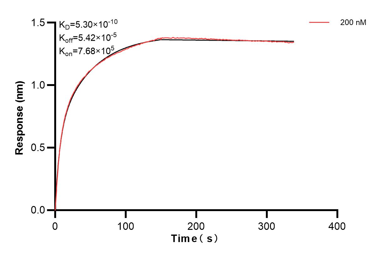 Affinity and Kinetic Characterization of 83323-3-PBS