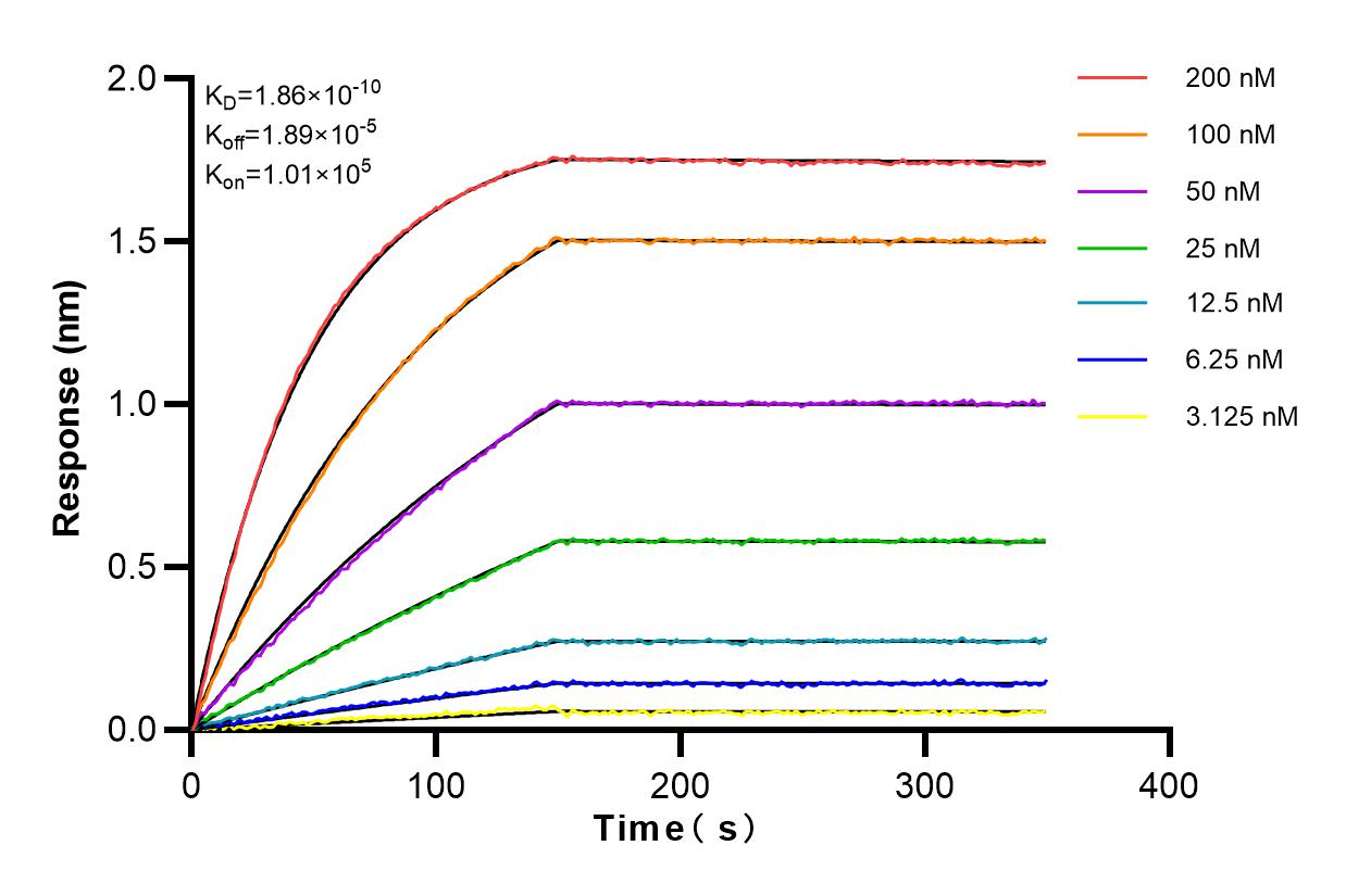 Affinity and Kinetic Characterization of 83324-1-RR