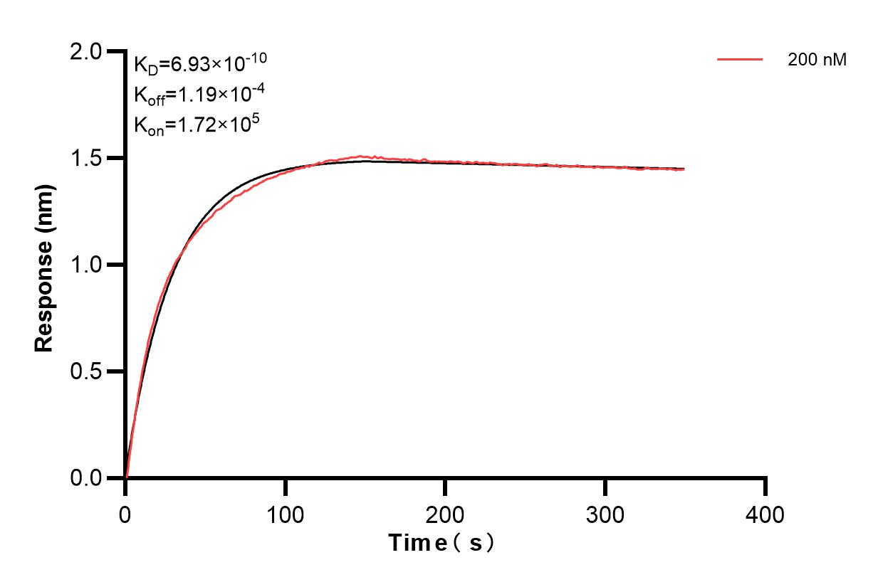 Affinity and Kinetic Characterization of 83340-3-PBS