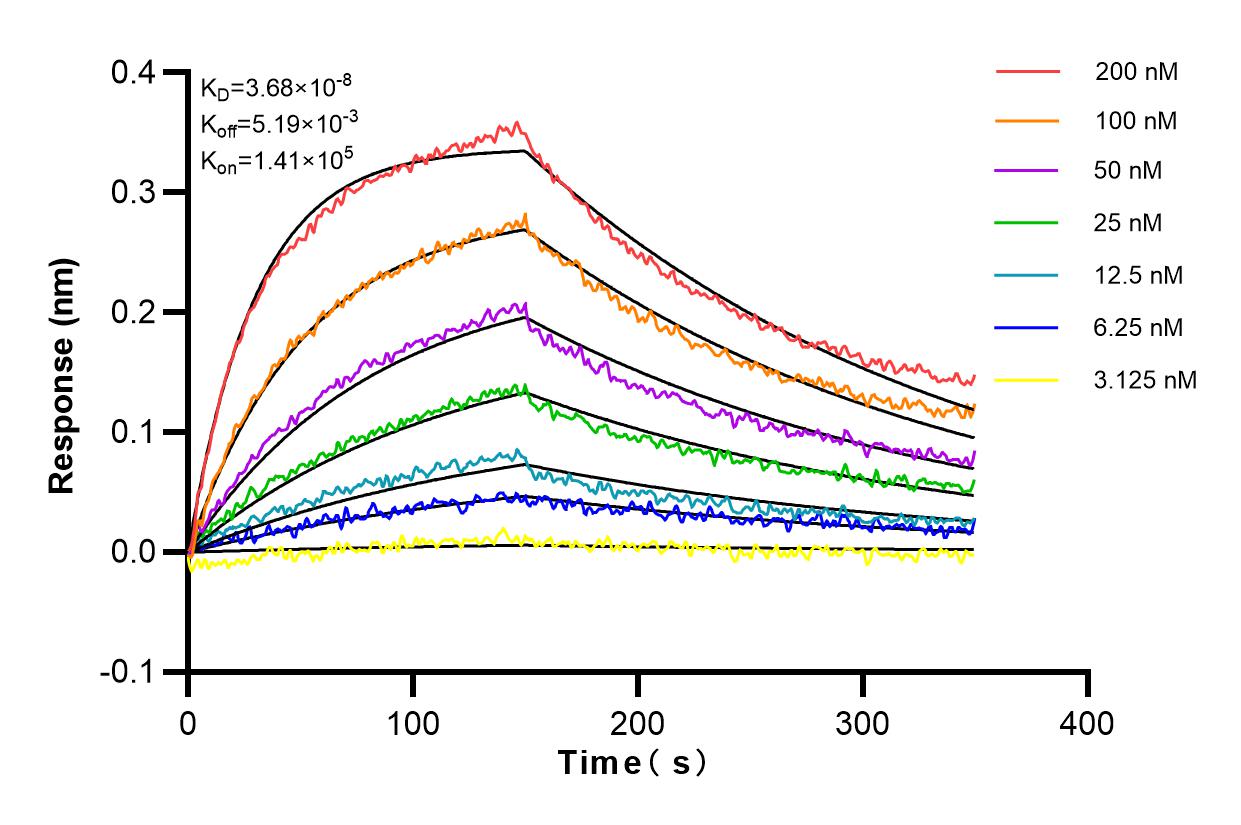 Affinity and Kinetic Characterization of 83341-1-PBS