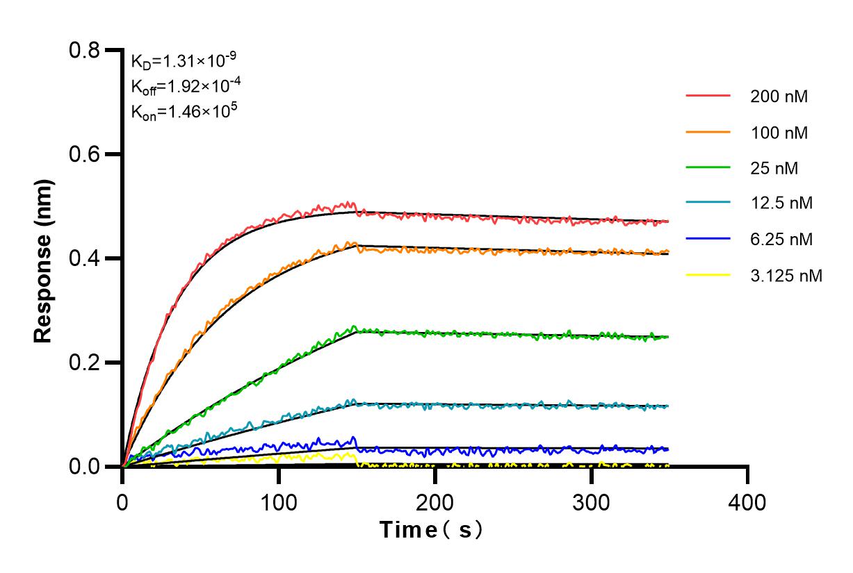 Affinity and Kinetic Characterization of 83346-6-RR