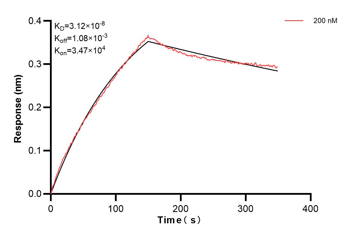 Affinity and Kinetic Characterization of 83348-2-PBS