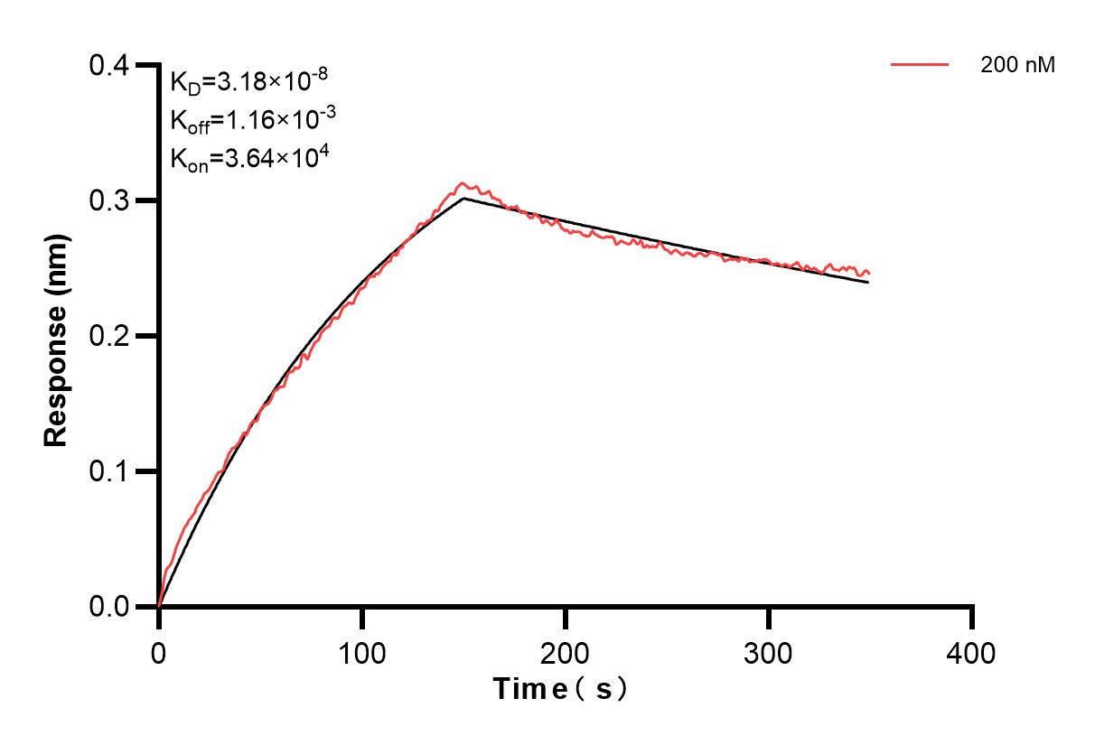 Affinity and Kinetic Characterization of 83348-3-PBS