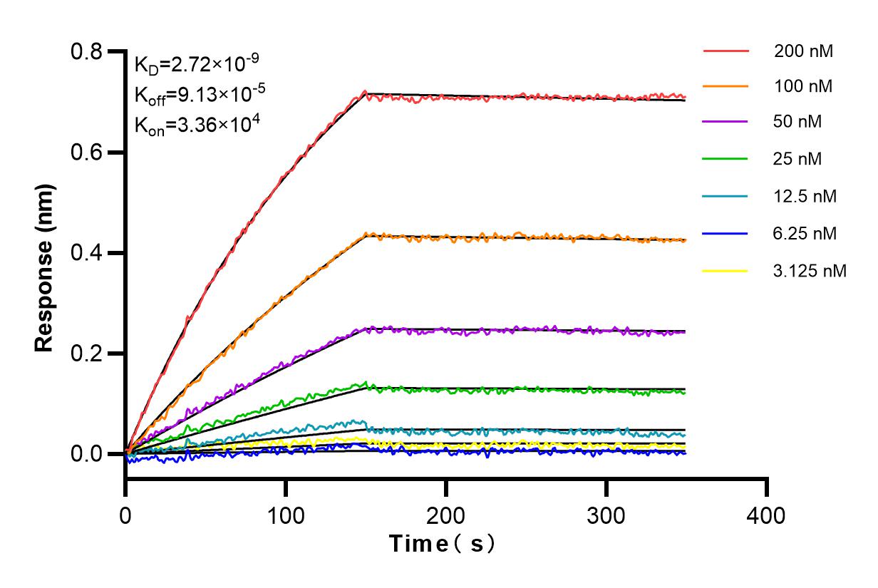 Affinity and Kinetic Characterization of 83349-3-RR