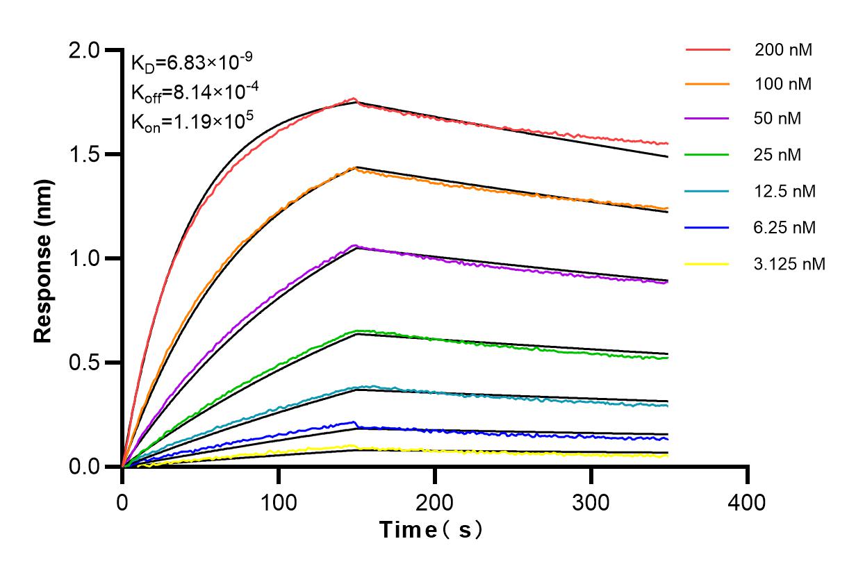 Affinity and Kinetic Characterization of 83350-4-RR