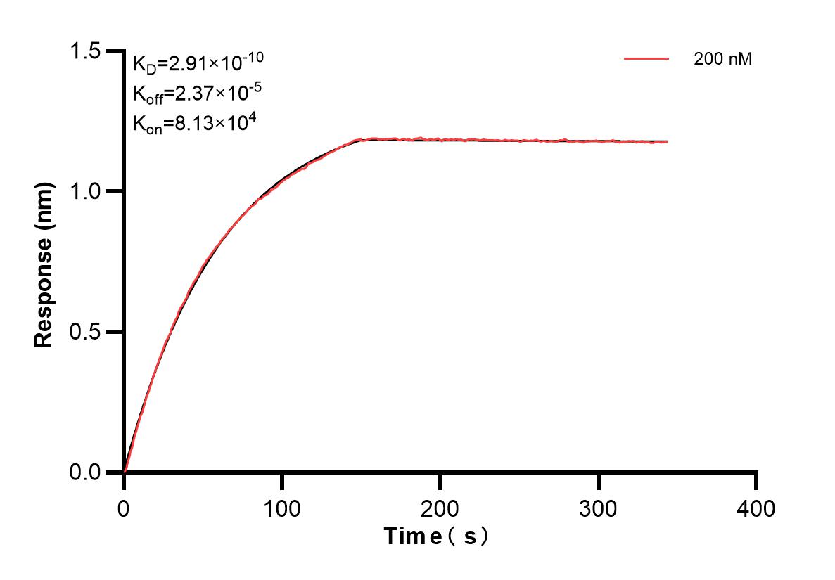 Affinity and Kinetic Characterization of 83352-2-PBS