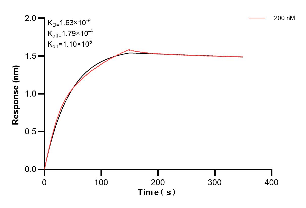 Affinity and Kinetic Characterization of 83355-1-PBS