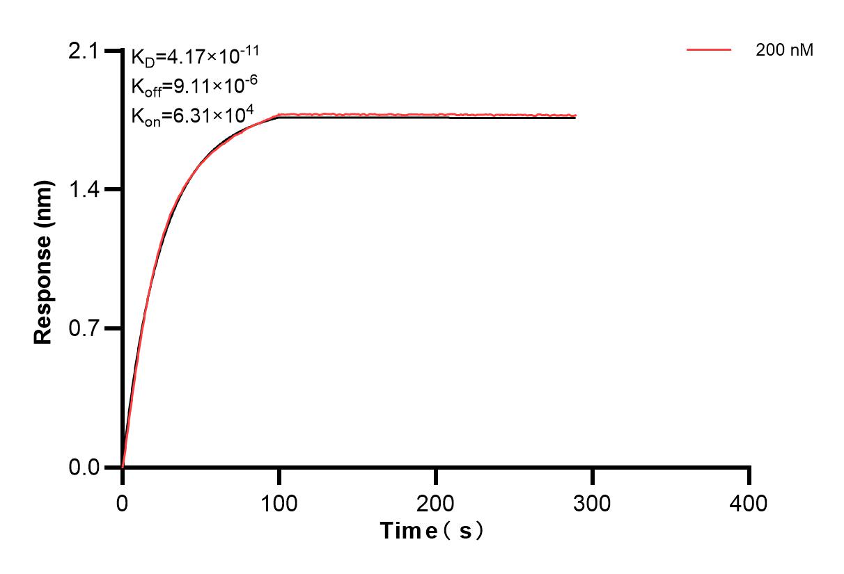 Affinity and Kinetic Characterization of 83355-3-PBS