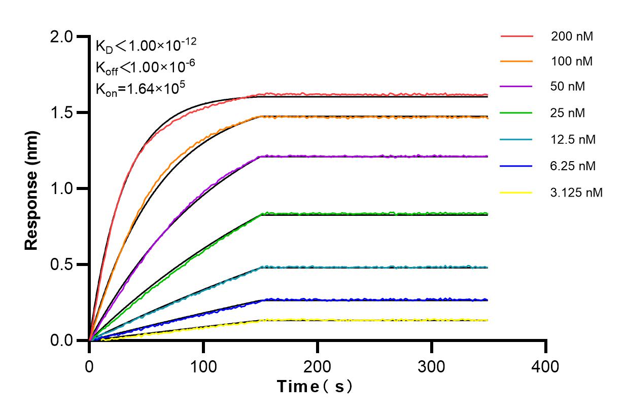 Affinity and Kinetic Characterization of 83355-3-RR