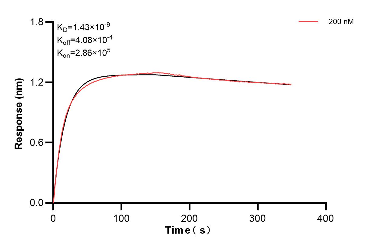 Affinity and Kinetic Characterization of 83356-2-PBS