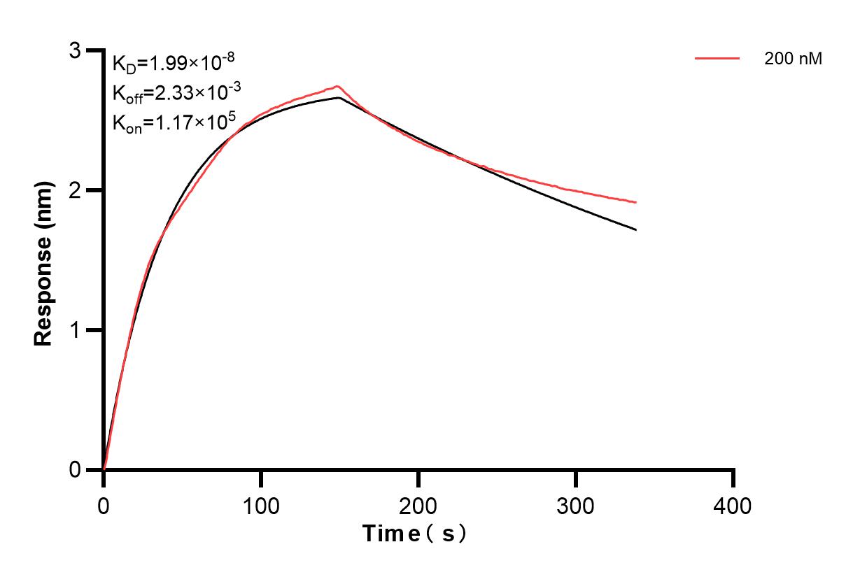 Affinity and Kinetic Characterization of 83376-4-PBS