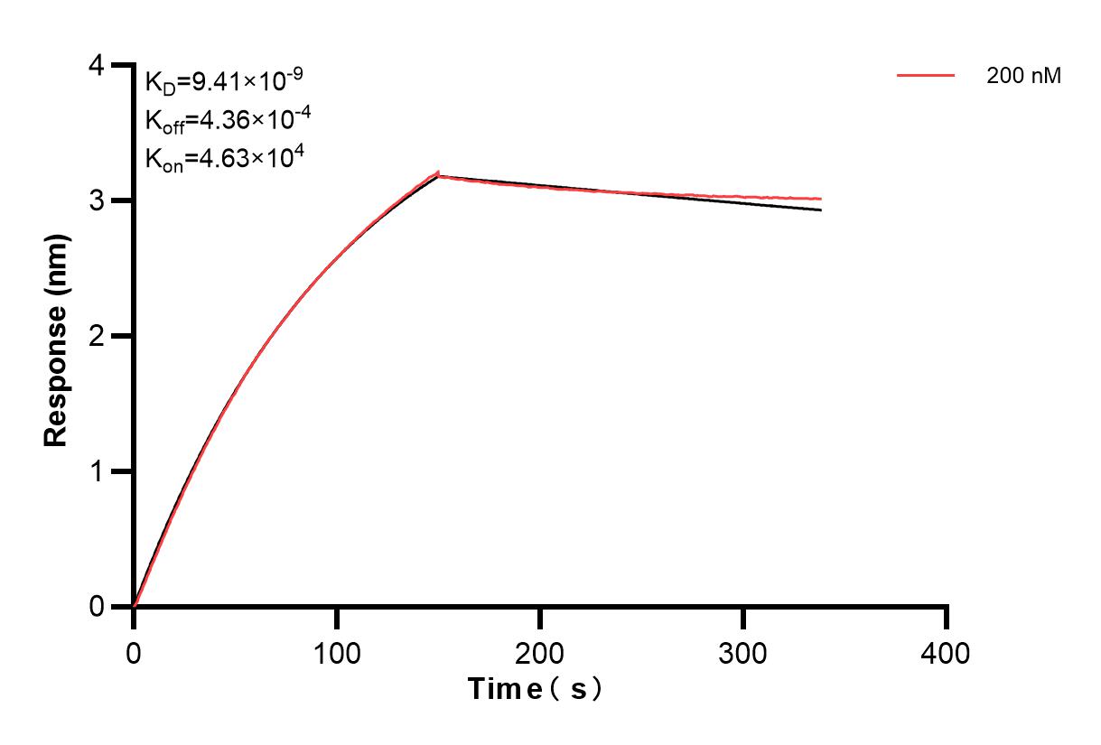 Affinity and Kinetic Characterization of 83376-6-PBS