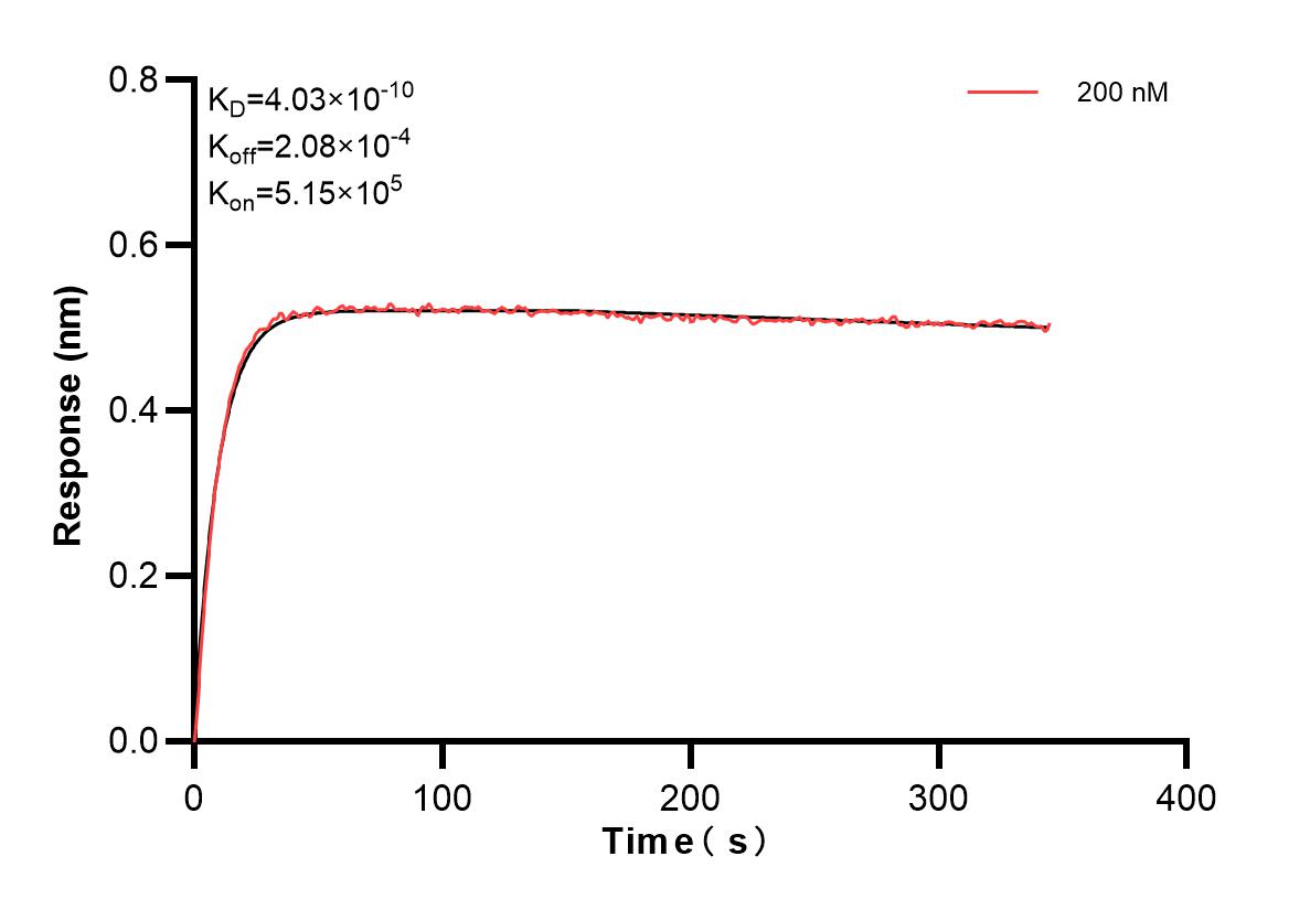 Affinity and Kinetic Characterization of 83383-1-PBS