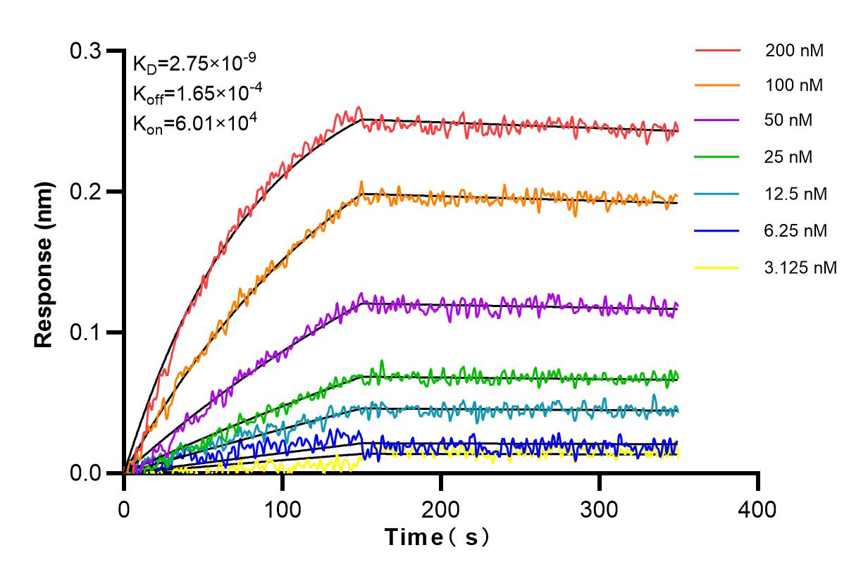 Affinity and Kinetic Characterization of 83383-7-RR