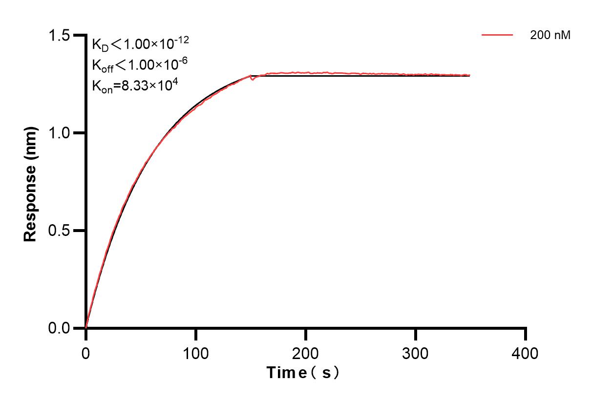 Affinity and Kinetic Characterization of 83386-1-PBS