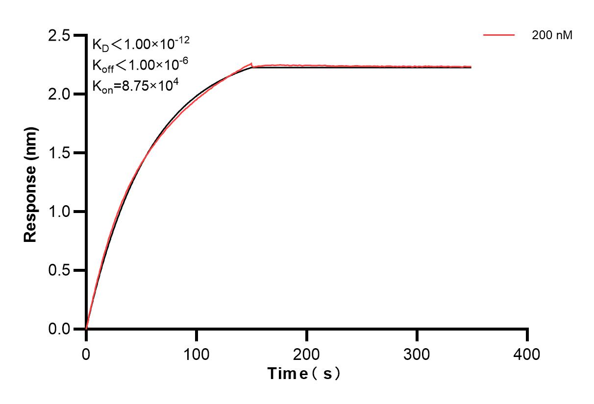 Affinity and Kinetic Characterization of 83386-2-PBS