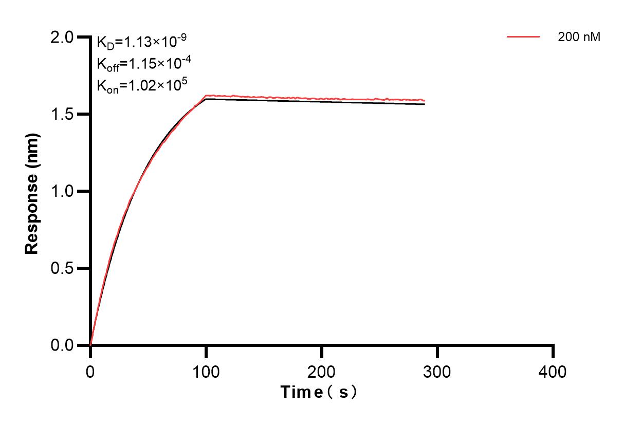 Affinity and Kinetic Characterization of 83386-3-PBS