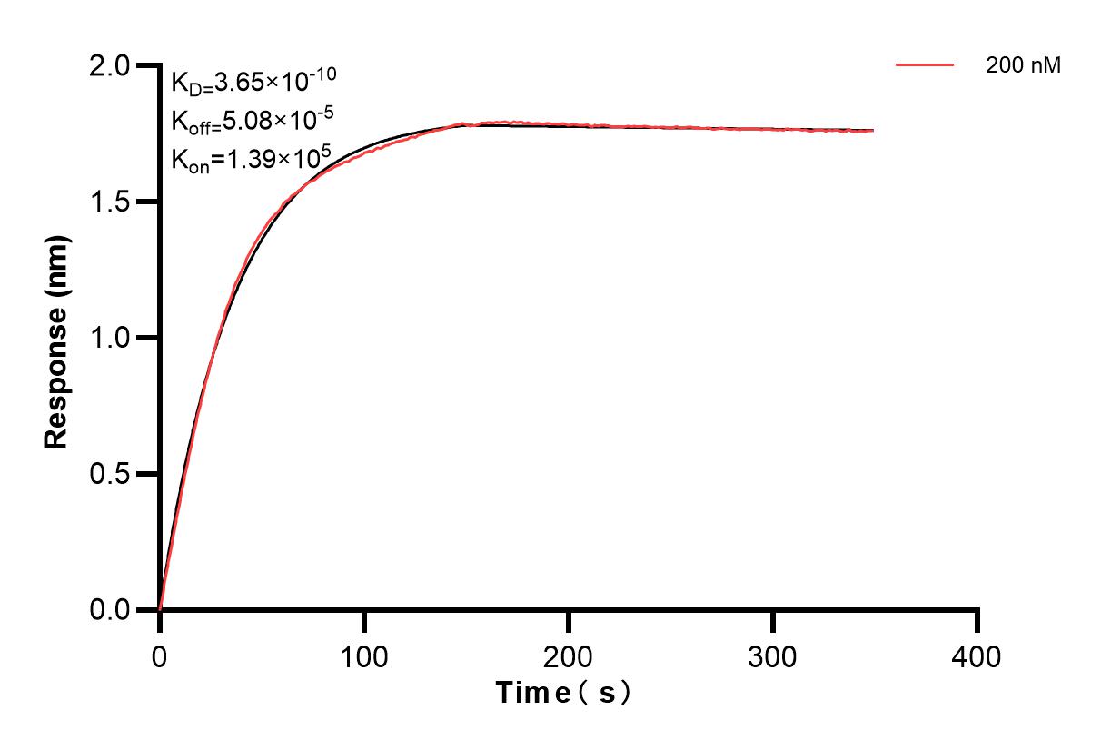 Affinity and Kinetic Characterization of 83386-4-PBS