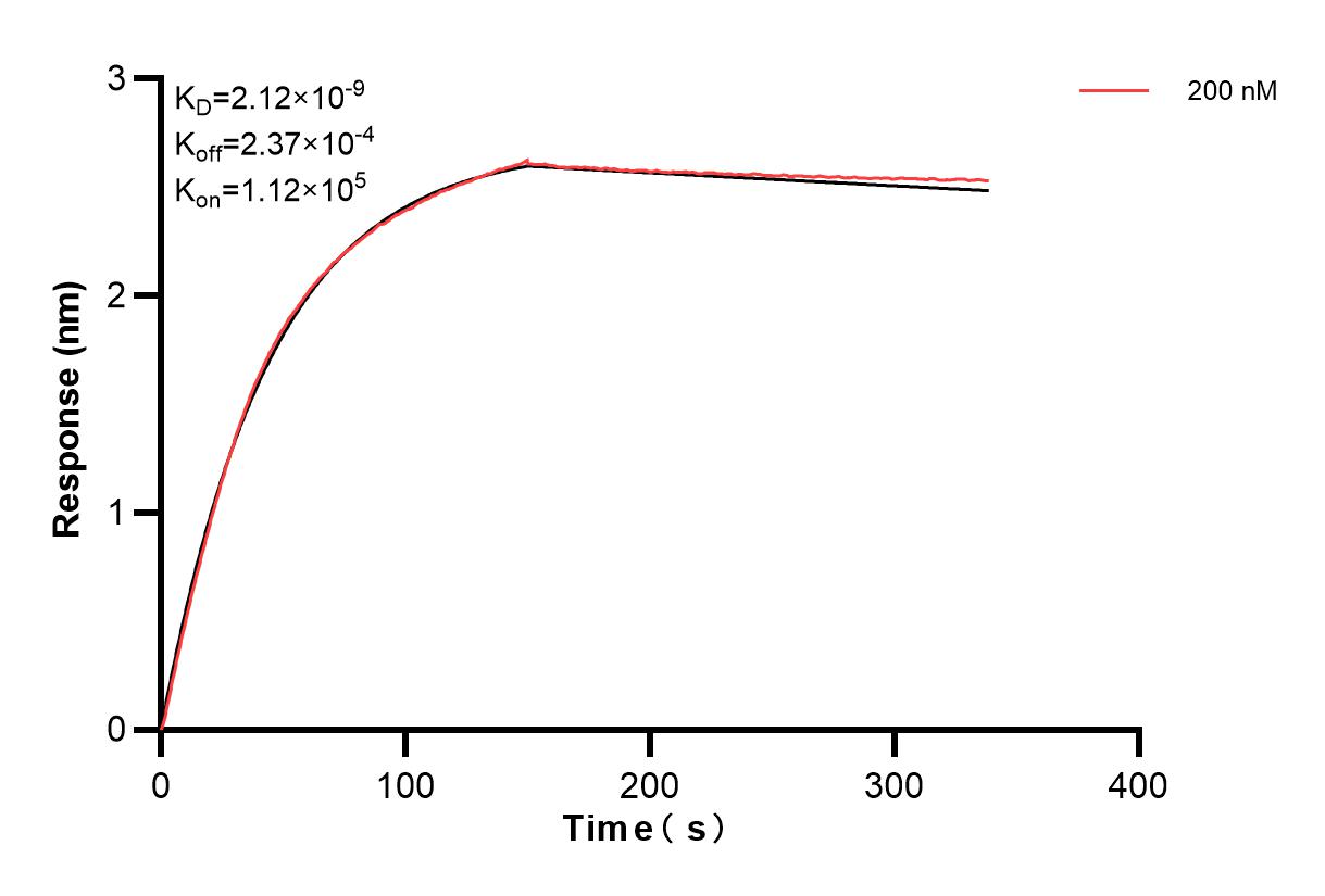 Affinity and Kinetic Characterization of 83390-1-PBS