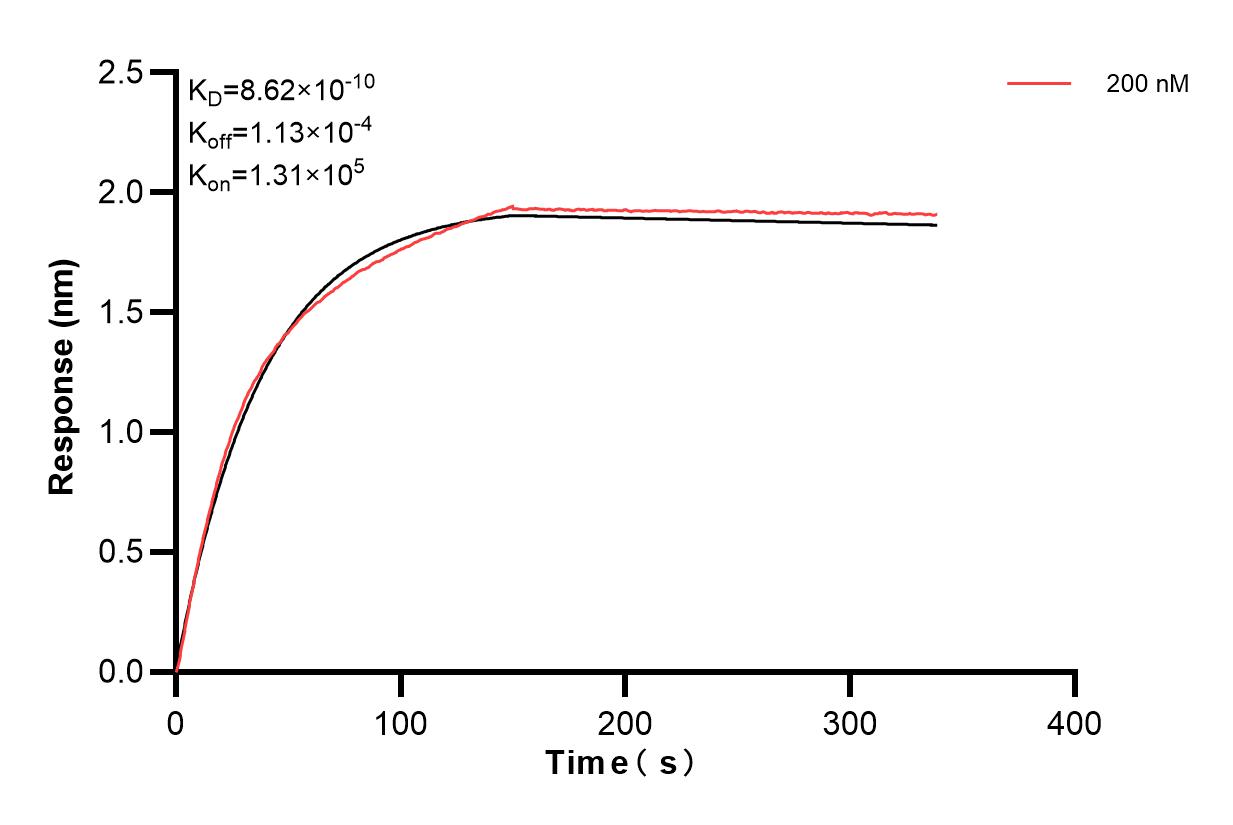 Affinity and Kinetic Characterization of 83390-3-PBS