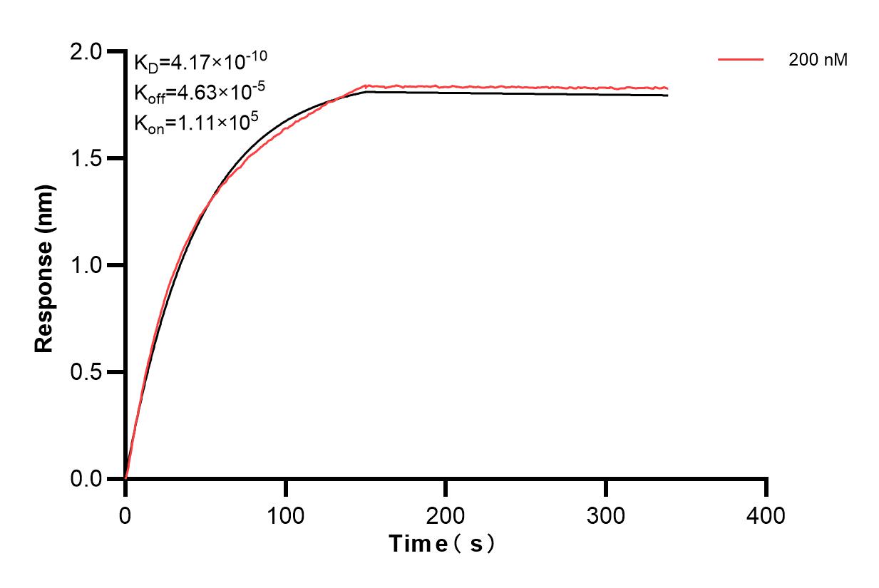 Affinity and Kinetic Characterization of 83390-4-PBS