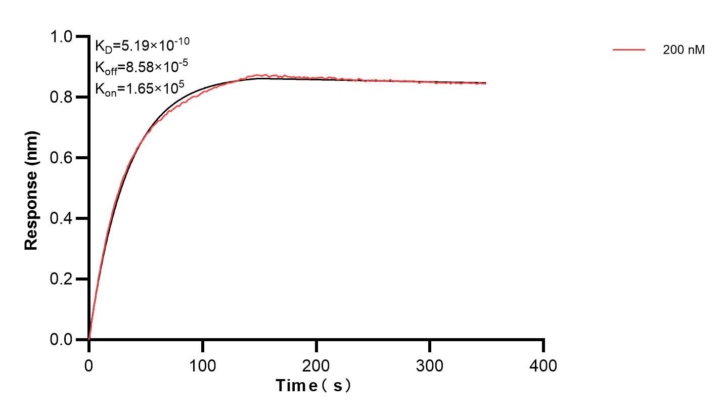 Affinity and Kinetic Characterization of 83394-1-PBS