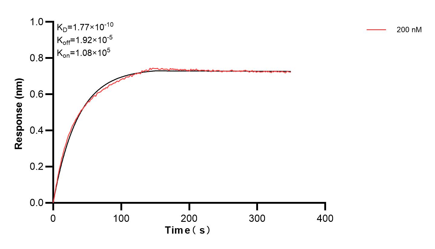 Affinity and Kinetic Characterization of 83394-2-PBS