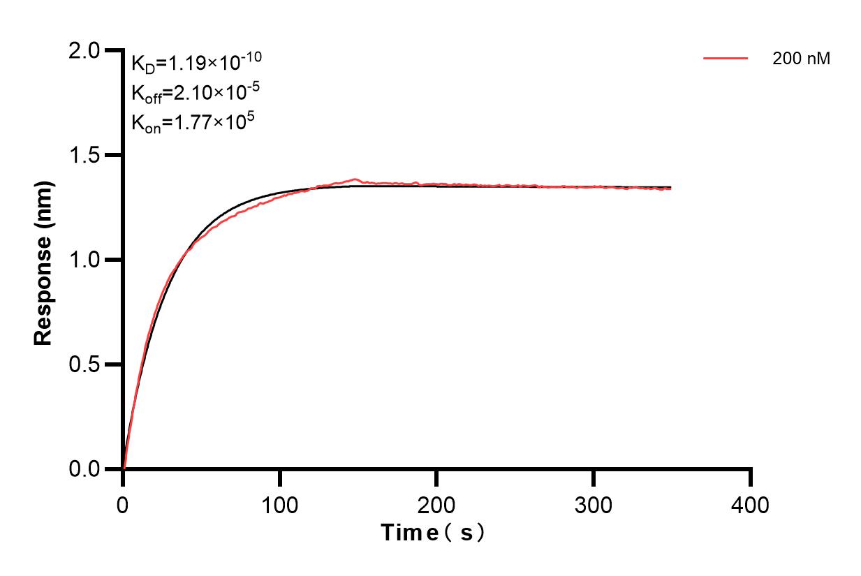 Affinity and Kinetic Characterization of 83394-4-PBS