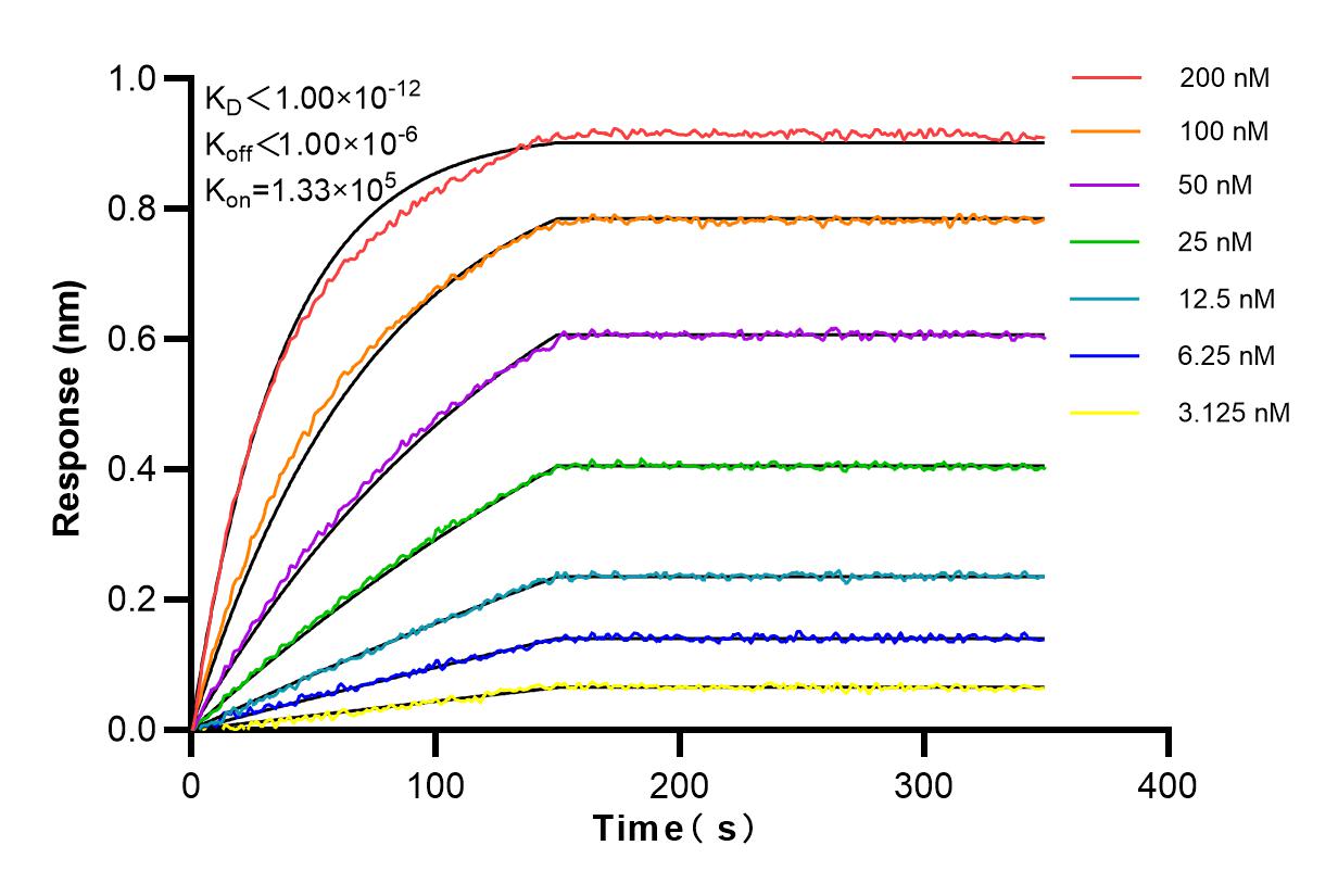 Affinity and Kinetic Characterization of 83397-5-RR