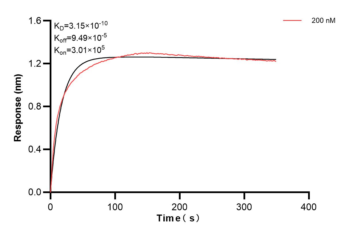 Affinity and Kinetic Characterization of 83402-1-PBS