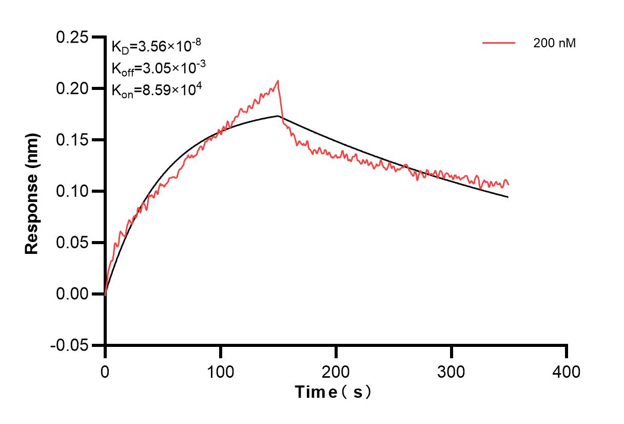 Affinity and Kinetic Characterization of 83402-2-PBS