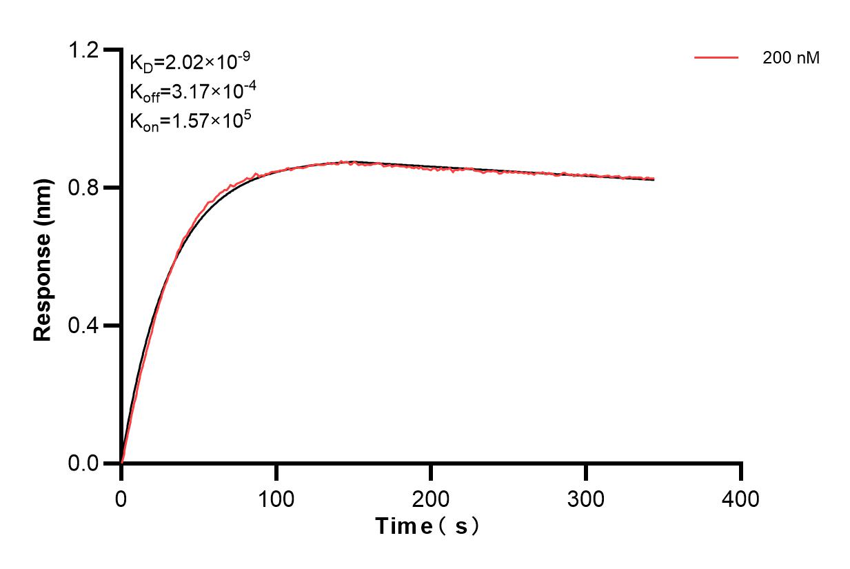 Affinity and Kinetic Characterization of 83404-1-PBS