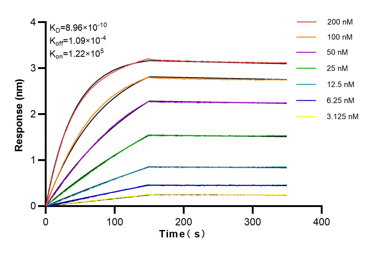 Affinity and Kinetic Characterization of 83409-5-PBS