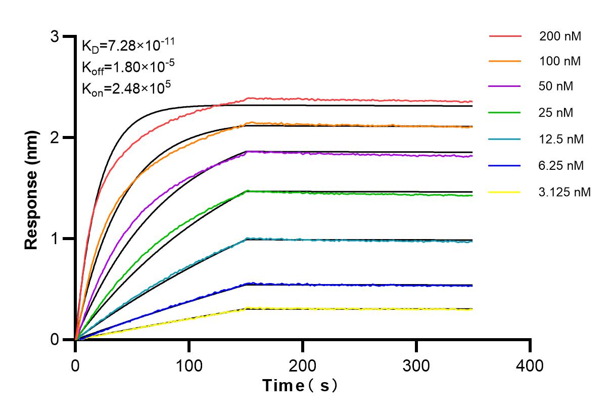 Affinity and Kinetic Characterization of 83410-3-RR