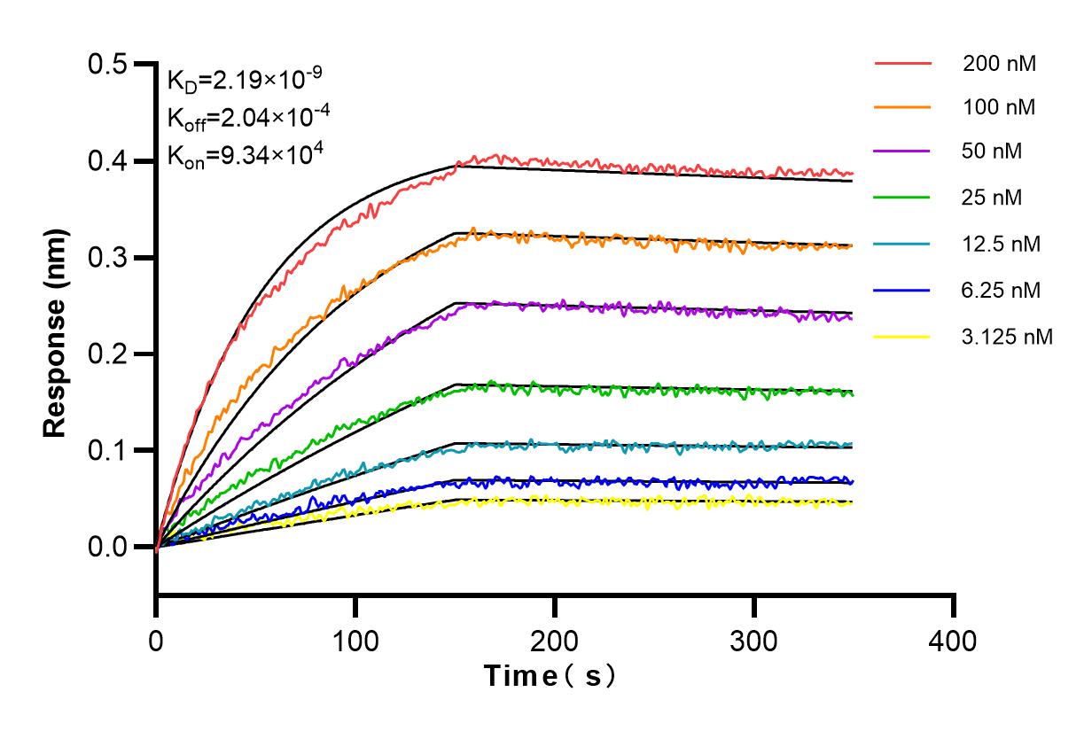 Affinity and Kinetic Characterization of 83413-6-RR