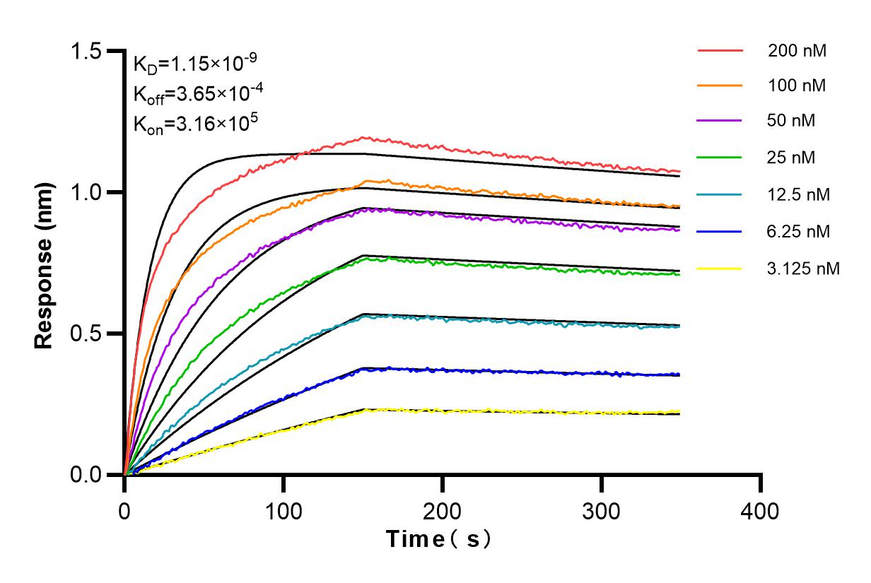 Affinity and Kinetic Characterization of 83416-4-RR