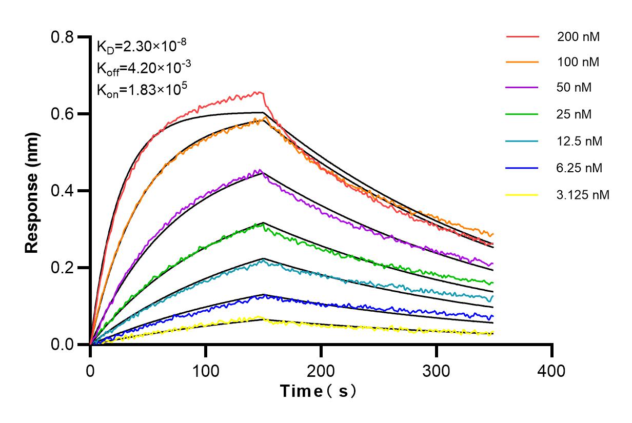 Affinity and Kinetic Characterization of 83422-1-RR