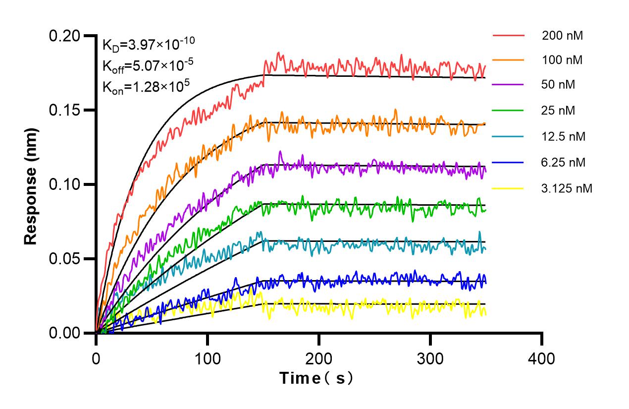 Affinity and Kinetic Characterization of 83423-1-RR