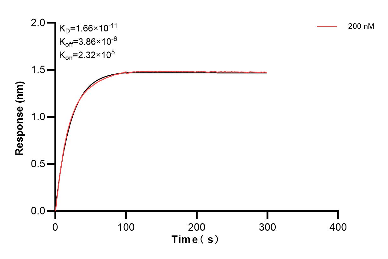 Affinity and Kinetic Characterization of 83447-3-PBS