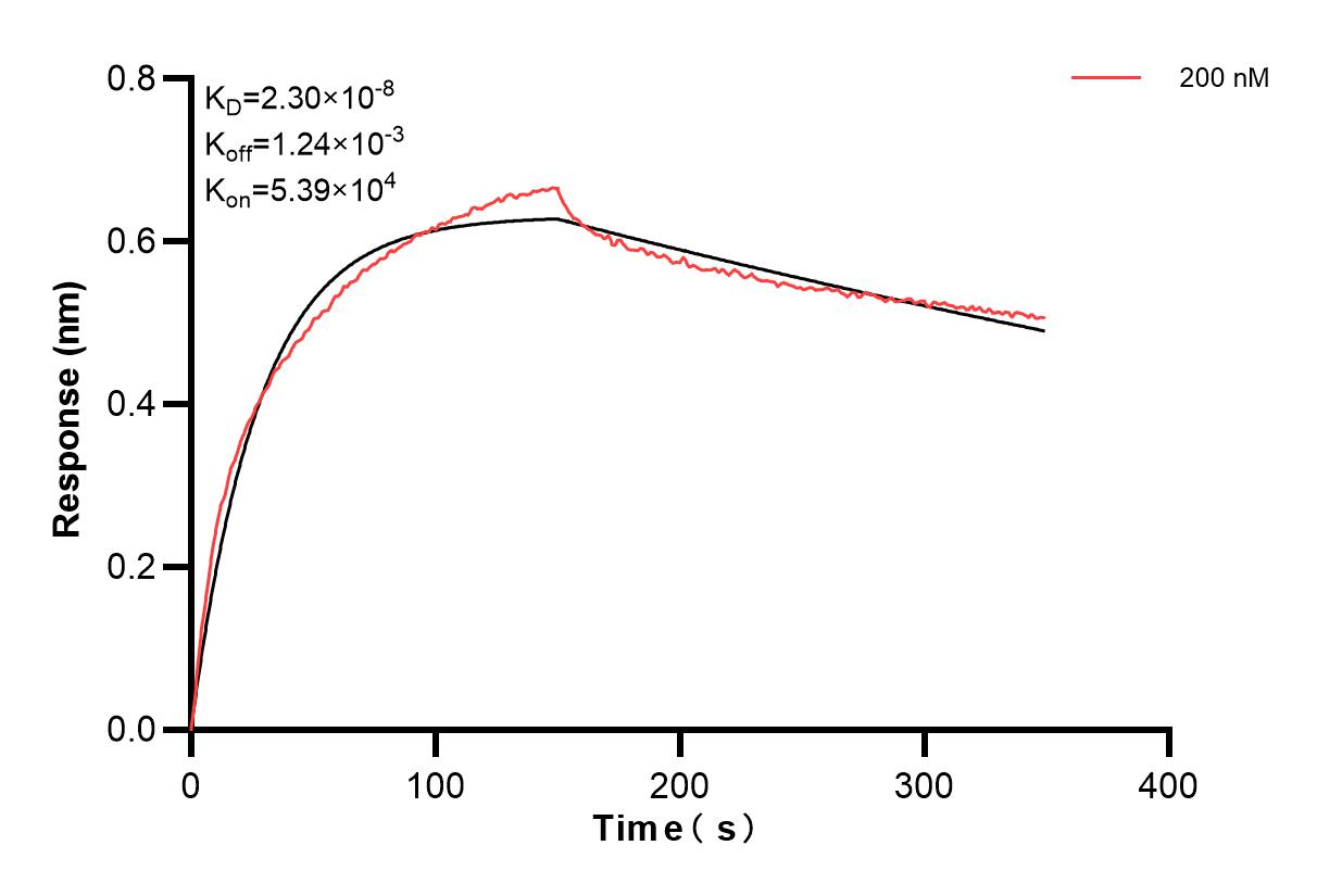 Affinity and Kinetic Characterization of 83448-4-PBS