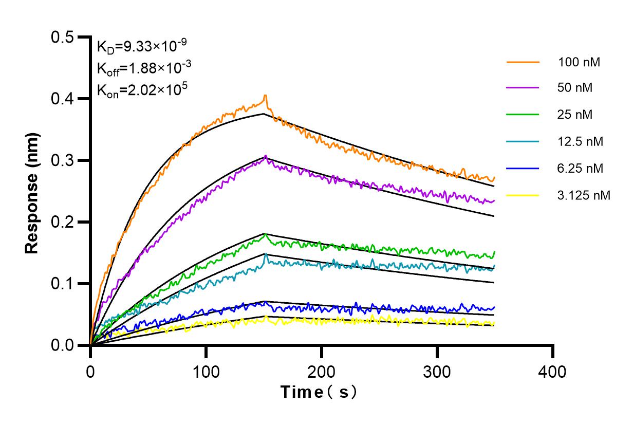 Affinity and Kinetic Characterization of 83448-6-RR