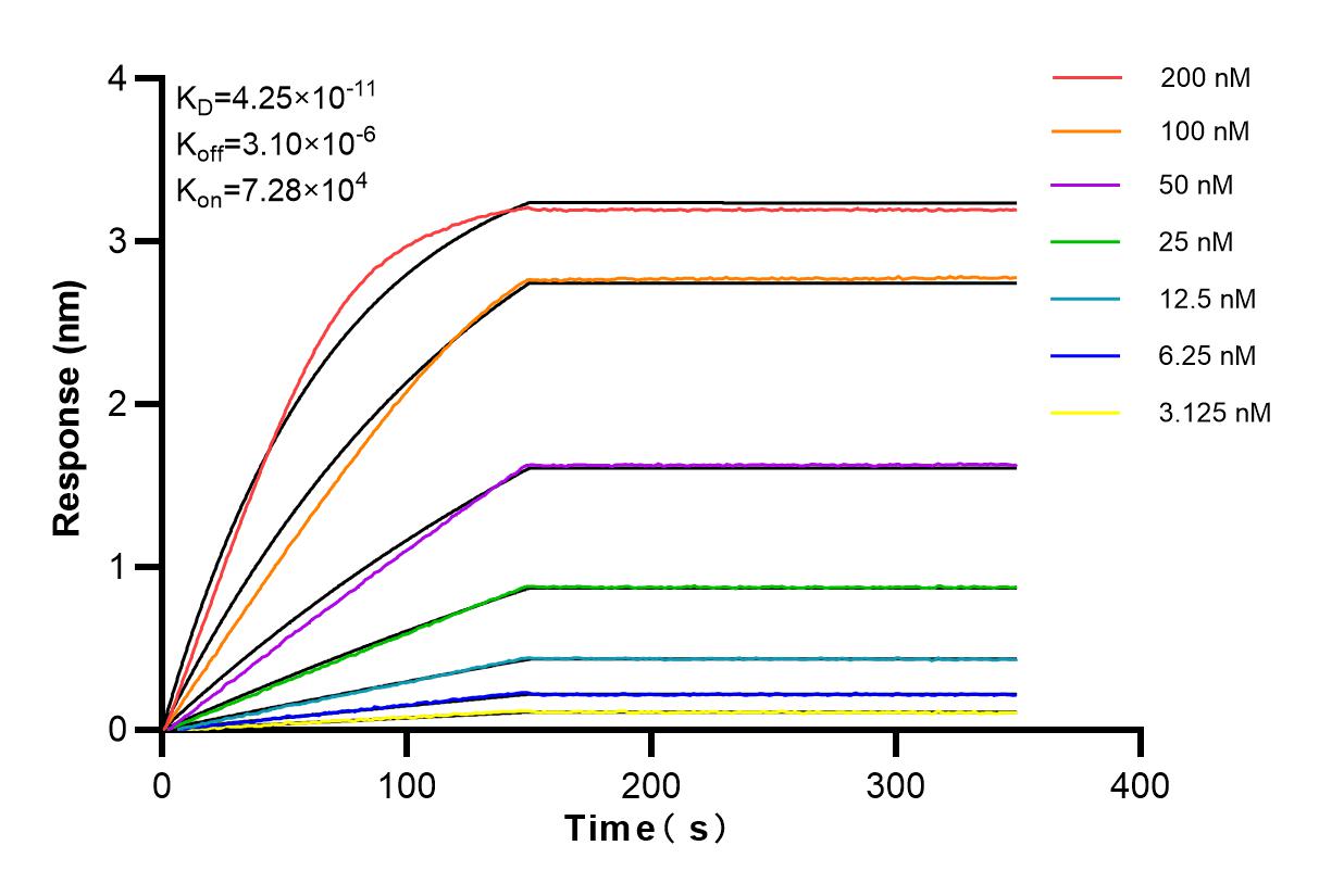 Affinity and Kinetic Characterization of 83449-4-RR