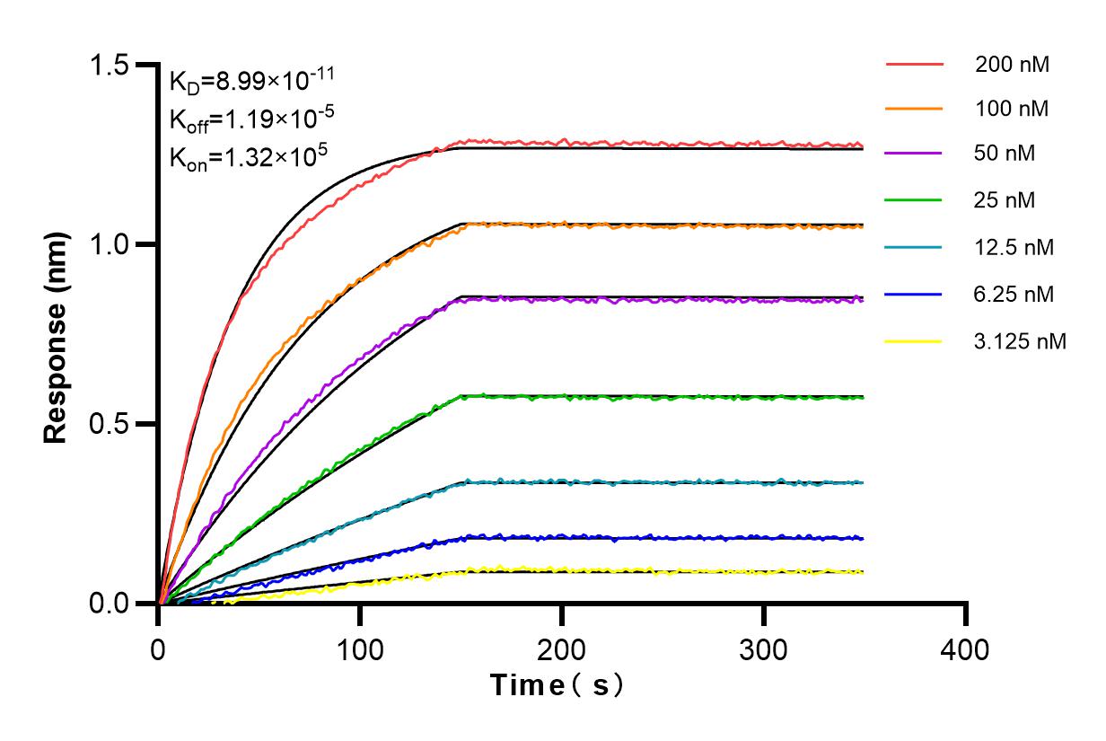 Affinity and Kinetic Characterization of 83451-4-RR