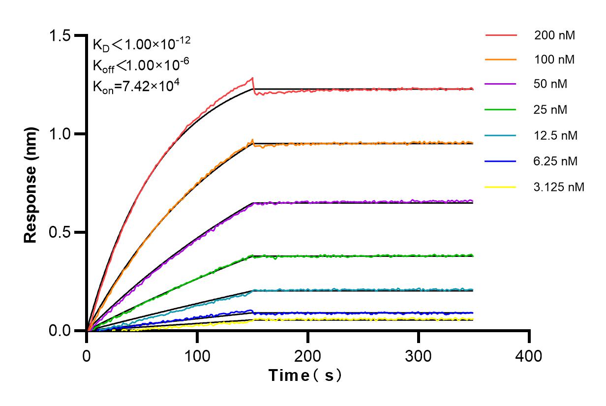 Affinity and Kinetic Characterization of 83454-6-RR