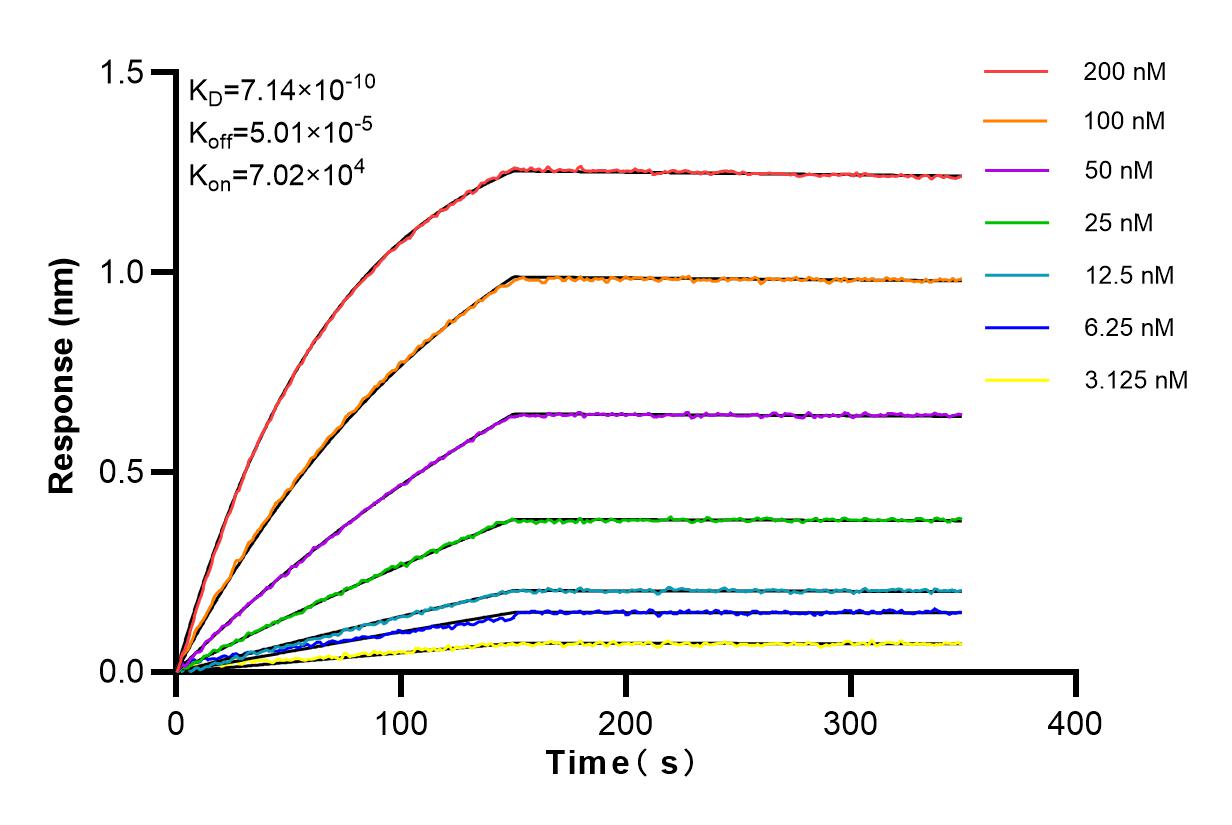 Affinity and Kinetic Characterization of 83462-1-RR